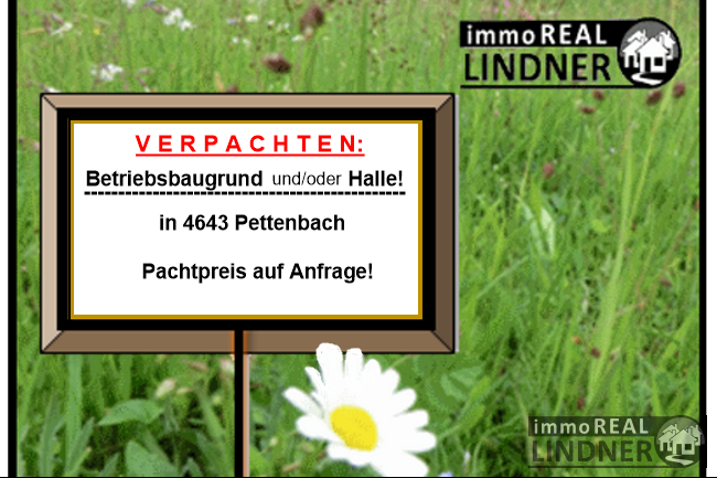 SONSTIGES 4643 Pettenbach Immobilien-Nr.: 492