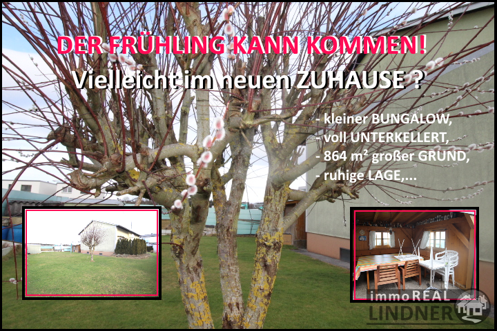 immoNr_483