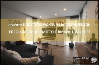immoNr_515