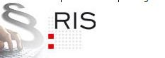 Logo RIS